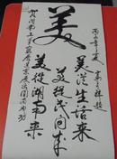 湖南工笔画展进京展出（1996年）签名册(安徽泾县宣纸）（高占祥、尹瘦石、刘人岛、王琦、金鸿钧、刘大为、潘絜兹、雷正民、老甲、彦涵、刃锋、任惠中、鲍虹、李树声、秦立生、杨力舟等110多名家签名）