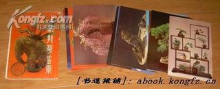 老明信片：上海龙华盆景  （一套12枚全）