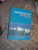 欢喜岭油田油气开发优秀论文集