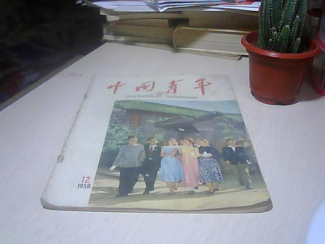 中国青年1958年第12期