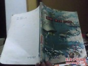 桦树湾》（插图本。描写东北边疆的少年儿童，抓获苏修特务的反特小说）