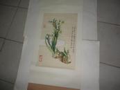 鳯金画 水仙花画一幅（画心约58cm×37cm）