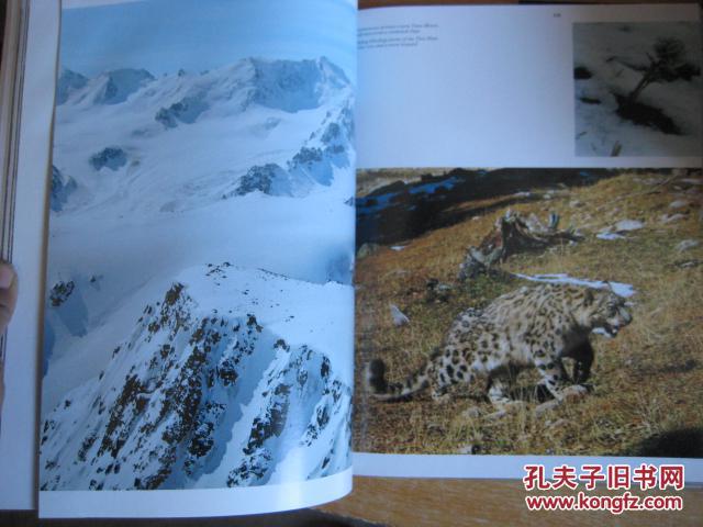 外文原版书：BD  5998