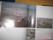 外文原版书：BD  5998