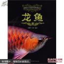 龙鱼饲养书 养金龙鱼书 龙鱼