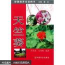 花卉盆栽天竺葵种植技术书籍 彩图版养花说明书 天竺葵