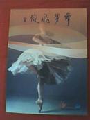 舞梦飞旋—王晗音乐舞蹈学校建校15周年画册（1998-2013））