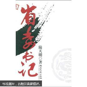 陆天明文集6：省委书记