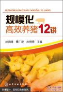 养猪书 猪病防治书 规模化高效养猪12讲
