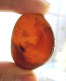 天然奇石观赏石图案石马达加斯加红玛瑙籽料原石挂件收藏品:兔爷