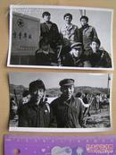 老照片【1982年，青年人在南京青年林植树】2张