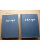 【中药大辞典】【中药大辞典-附篇】上海人民出版社1977年出版 上下册  精装16开 合计3册