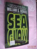 SeaGlow 海面辉光 (品好未阅）
