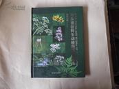 丹东地区野生动植物原色图鉴---植物分册（二）
