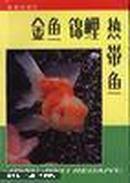 金鱼 锦鲤  热带鱼