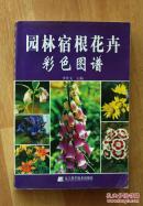 園林宿根花卉彩色圖譜