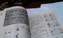 第二届 应氏杯世界职业围棋锦标赛 特集