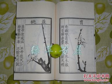 【名家旧藏】《宋本重刊 梅花喜神谱》（线装 白纸 全1册 -影印宋本）1997年版※ [古 代 画 谱 版 画 史名著-描绘梅花不同情态 蓓蕾 小蕊 烂漫 咏 梅 ]