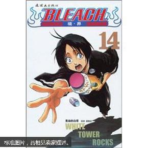 BLEACH 境·界14