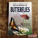 the complete encyclopedia of butterflies（英文精装原版 完整的百科全书蝴蝶）