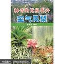 花卉盆栽凤梨种植技术书籍 神奇的无根花卉：空气凤梨