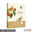 发现美的昆虫