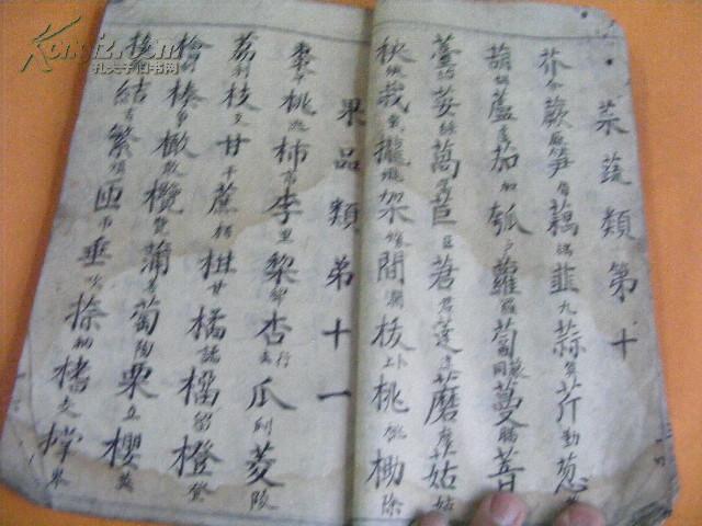 清手寫 方言雜字 一厚冊全