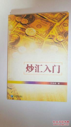 炒汇入门  近10品