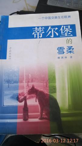 蒂爾堡的雪柔