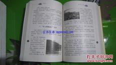 十年国门——广州3000年不衰的古港.珠江文化丛书