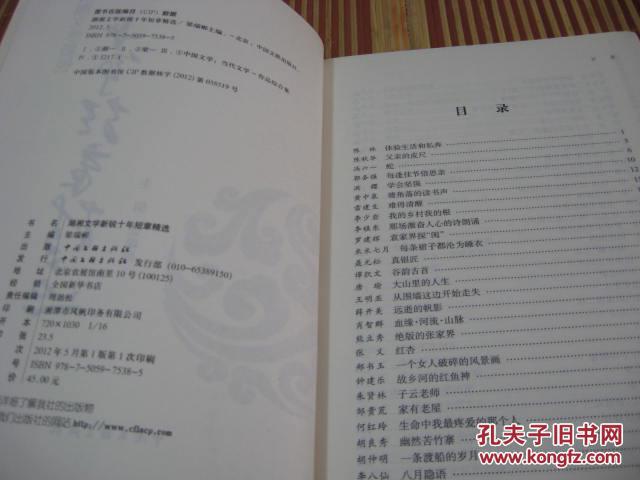 湖湘文学新锐十年短章精选