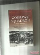 GOSHAWK SQUADRON (苍鹰中队)