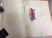 陶瓷选辑(第二辑)58年1印(品见描述)