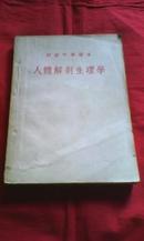 人体解剖生理学——初级中学课本【全一册】