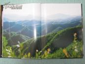 中国少数民族地区画集丛刊 福建