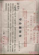 1970年福清第七中学【毕业通知书】有毛主席头像，伟大的导师；伟大的领袖；伟大的统帅；伟大的舵手；语录，