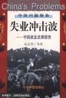 失业冲击波：中国就业发展报告（杨宜勇等著  今日中国出版社）