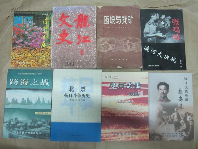 張鳴岐―凌河大決戰(zhàn)（本書(shū)描寫(xiě)的新中國(guó)第一位市委書(shū)記在抗洪中犧牲的紀(jì)實(shí)小說(shuō)）