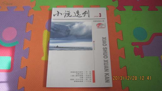 小说选刊2010年第3期