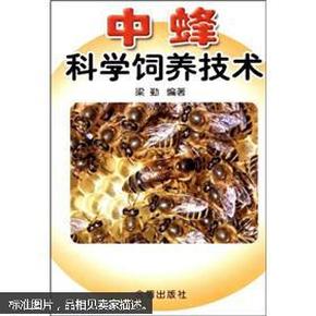 中蜂科学饲养技术