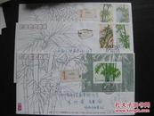 竹子特种邮票实寄纪念封3枚一套【满100包邮】