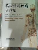 临床骨科疾病诊疗学【20架大厚本】