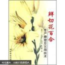 中药材百合人工种植技术书籍 鲜切百合花圆我致富梦（视频U盘）