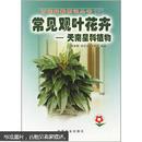 花卉盆栽天南星种植技术书籍 常见观叶花卉：天南星科植物