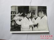出版社流出老照片之六十七：中科院上海分院长院士、生物化学家王应睐与院士、生物化学家王德宝在实验室交流