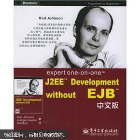 expert one-on-one J2EE Development without EJB 中文版