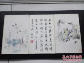 潘然作品—>虫草作品册页共13页（虫草大家“潘君诺”潘然原作）真迹