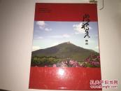 陈独秀画史 大16开精装带硬装外壳 全铜版纸画像