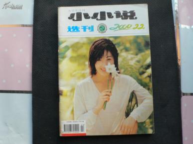 小小说选刊  2000  22