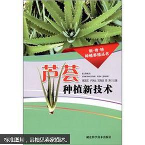 芦荟种植新技术